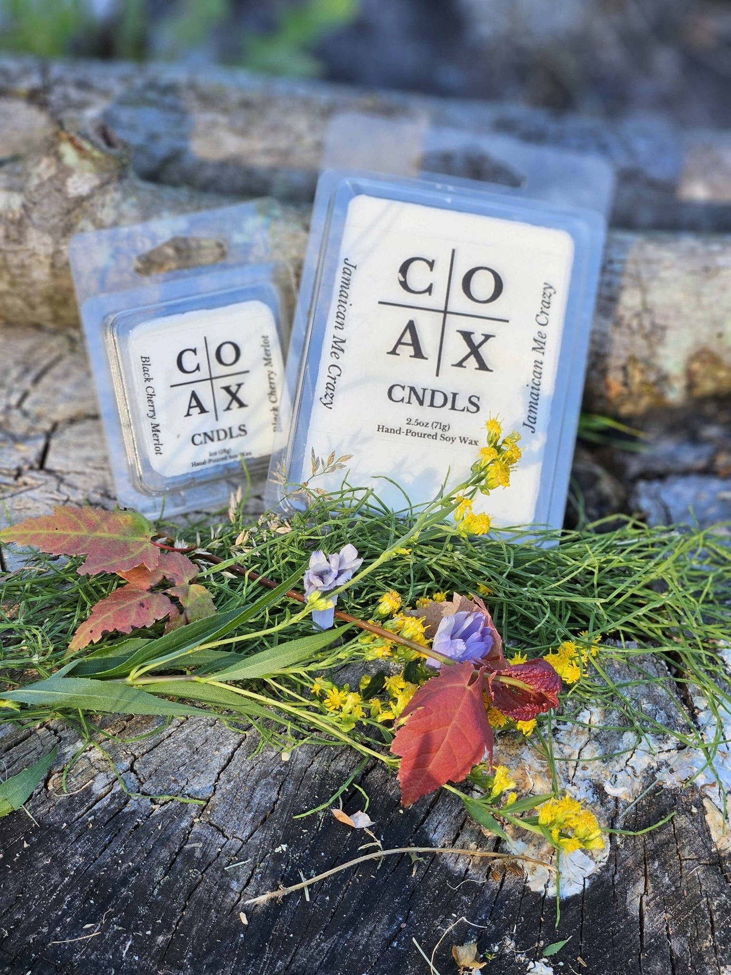 Handcrafted Wax Melts - COAX CNDLS