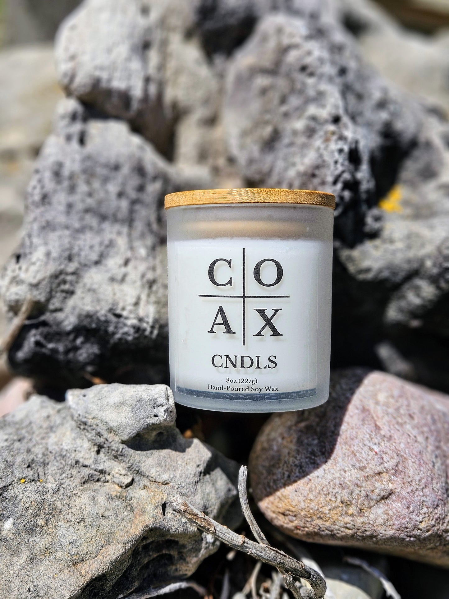 Cashmere Woods 8oz Soy Candle – Soft Florals, Vanilla Sugar & Warm Cedarwood