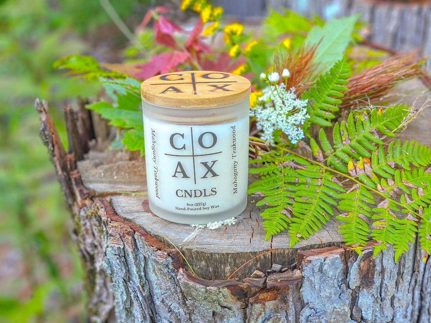 Alpine Nectar - COAX CNDLS Candle