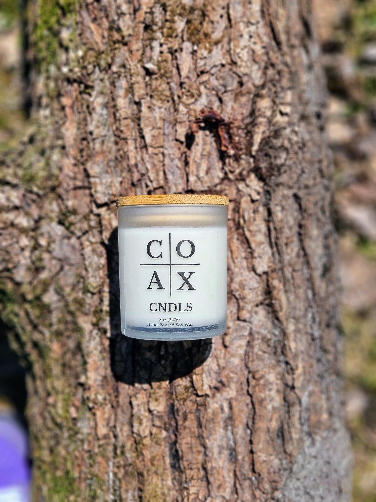 Cashmere Woods 8oz Soy Candle – Soft Florals, Vanilla Sugar & Warm Cedarwood